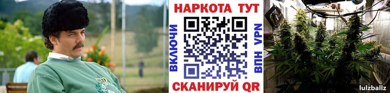 Псилоцибиновые грибы Тюмень