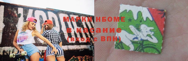 гидра Надым