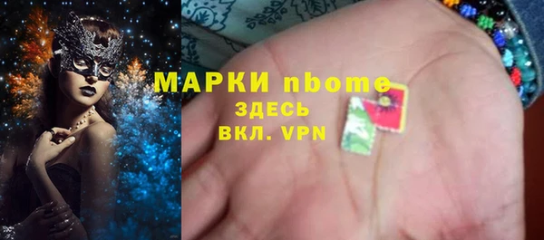 гидра Надым