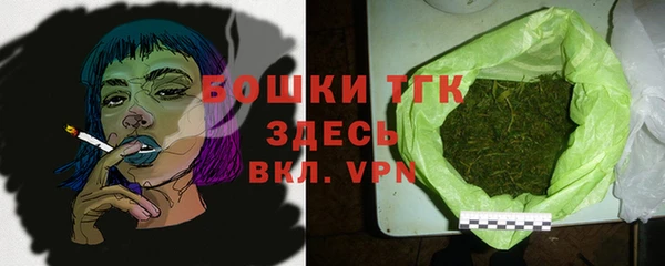 гидра Надым