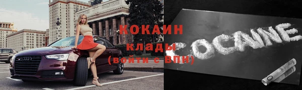 гидра Надым