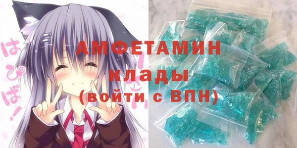 гидра Надым