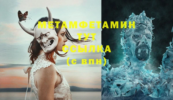 гидра Надым