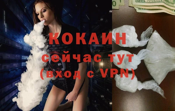 гидра Надым