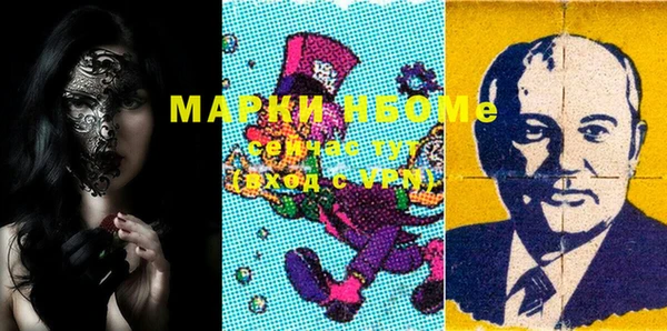 гидра Надым