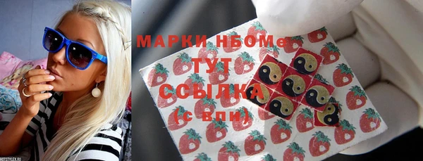 гидра Надым